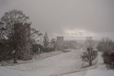 Bare trees against sky