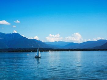 Sailboats in sea against blue sky