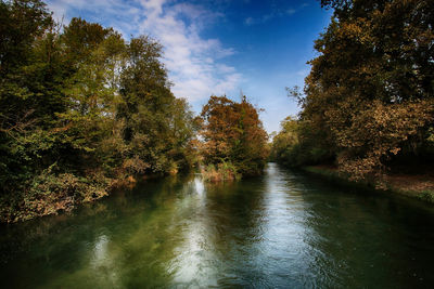 River amidst trees in forest against sky