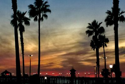 Silhouette palm trees against dramatic sky