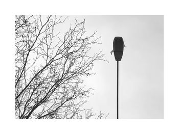 Low angle view of street light against sky