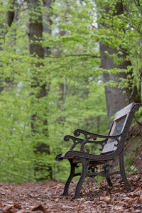 Empty bench in park