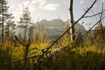 Scenic view of land against sky