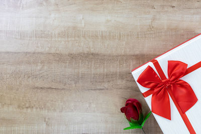 Directly above shot of red flower in box