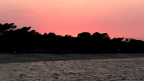 Silhouette of trees at sunset