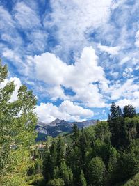 Low angle view of trees against sky