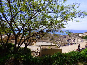 Trees by house against sky