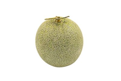 Close-up of fruit against white background