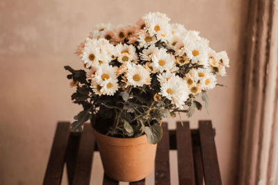 Close-up of flower pot on potted plant against wall