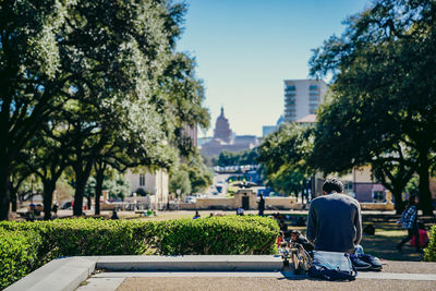 Rear view of male student sitting at campus