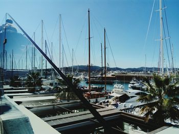 Sailboats moored at harbor against sky