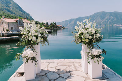 Flowers arranged on pier against lake in sunny day