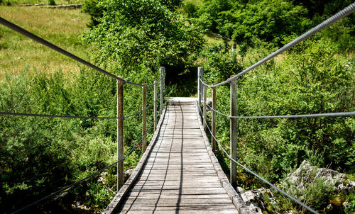 Footbridge amidst trees in forest