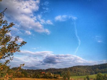 Low angle view of trees on field against sky