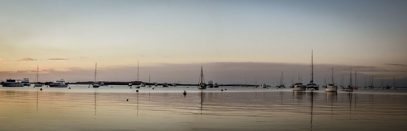 Sailboats in marina at sunset