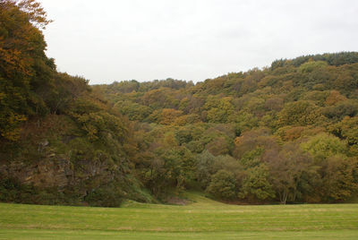 Scenic view of green landscape against sky