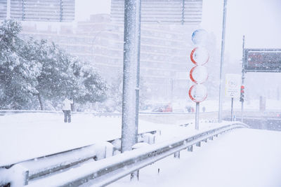 Snow covered trees and buildings in city