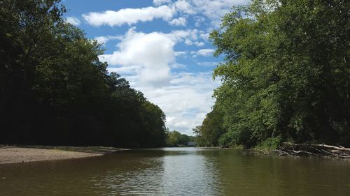 River with trees in background