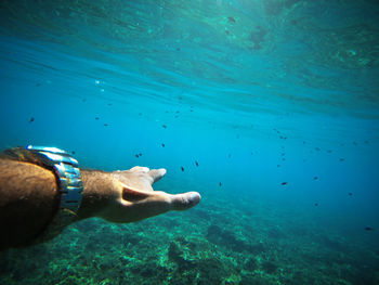 Man swimming in sea