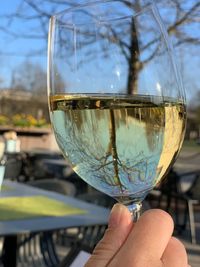 Close-up of hand holding glass of wine