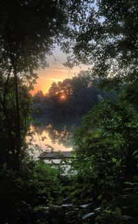 Scenic view of lake in forest against sky at sunset
