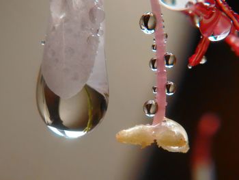 Close-up of crystal hanging