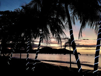 Silhouette palm trees on beach against sky during sunset