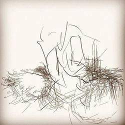 bare tree
