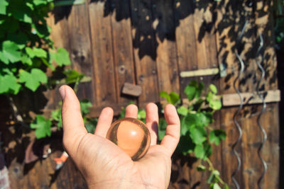 Close-up of hand holding wood