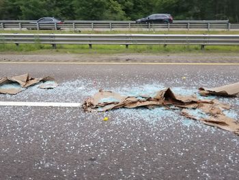 View of crab on road