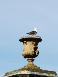 Low angle view of seagull perching on statue against sky