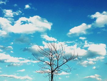 Low angle view of bare tree against sky