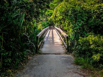 Footbridge in forest