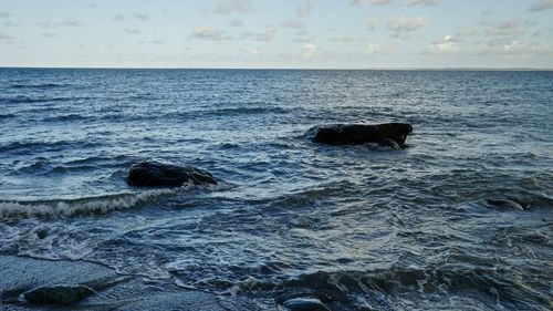 Seascape, wales