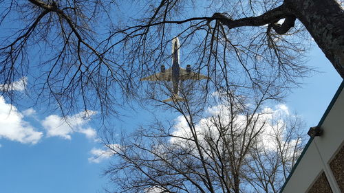 Low angle view of bare trees against blue sky