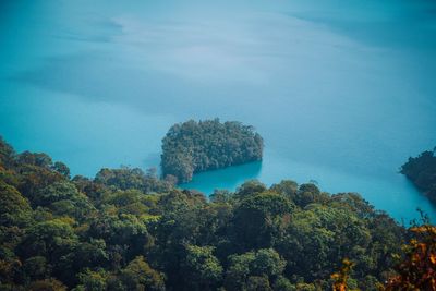 High angle view of trees by sea against sky