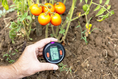 Measuring temperature, moisture content of the soil, environmental humidity and illumination