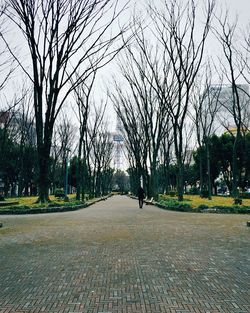 Empty road along trees