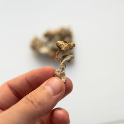 Close-up of hand holding chain against white background