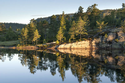 Reflection of trees in lake against sky