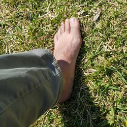 Low section of person wearing shoes on grass