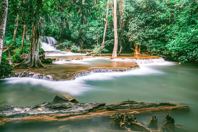 Scenic view of waterfall in forest