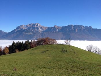 Scenic view of green landscape and mountain against clear blue sky