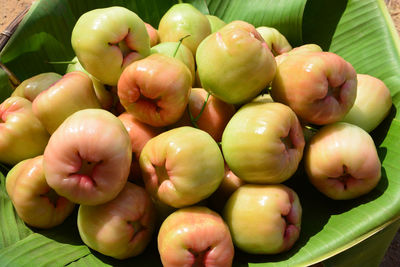 High angle view of apples