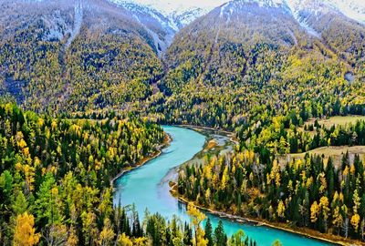 scenics - nature