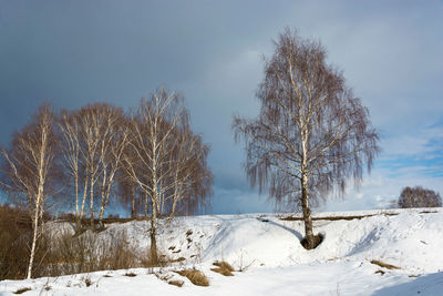 Bare trees on snow covered land against sky