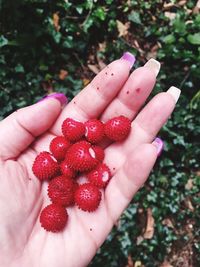 Close-up of hand holding strawberries