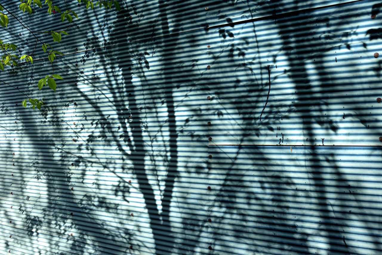 FULL FRAME SHOT OF WINDOW WITH SHADOW