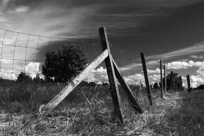 Trees on field against sky