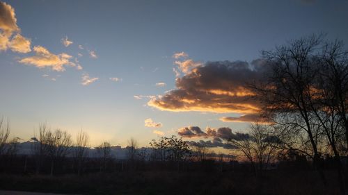 Silhouette trees on field against sky at sunset